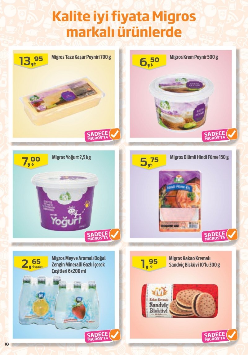 30 Mart Migros Aktüel 2017 Sayfa 19