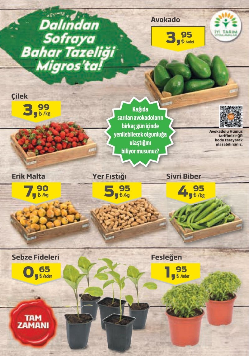 20 Nisan Migros Aktüel 2017 Sayfa 10