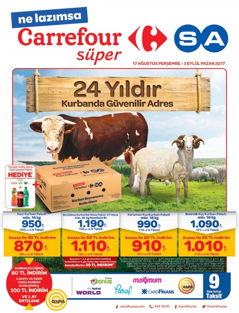 17 Ağustos Carrefour Geleneksel Aktüel 2017 - Sayfa 13