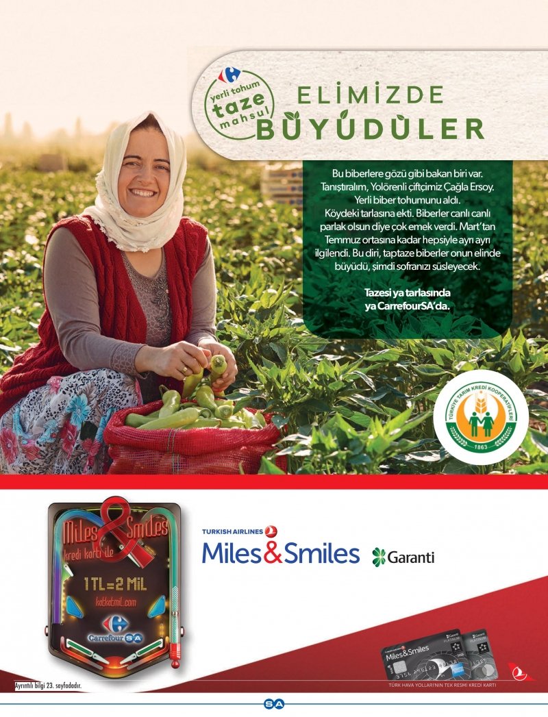 4 Eylül Carrefour Geleneksel Aktüel 2017 - Sayfa 14